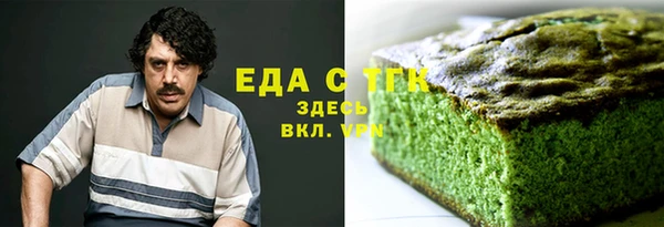 хмурый Арсеньев