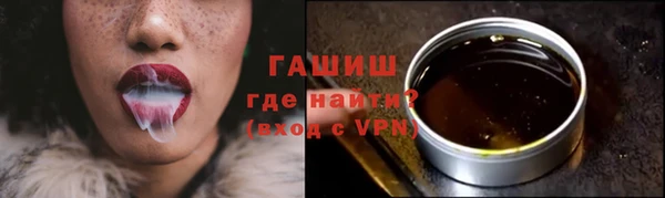 хмурый Арсеньев