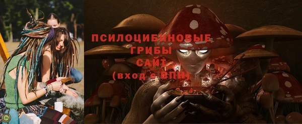 хмурый Арсеньев