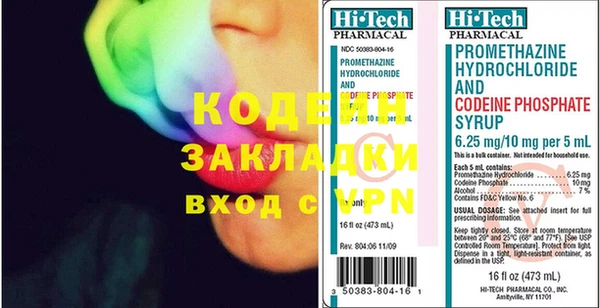 хмурый Арсеньев