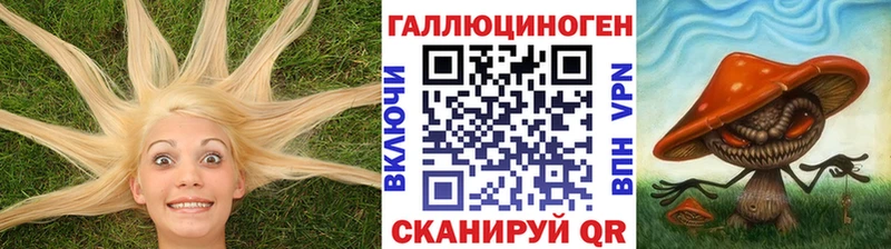 Псилоцибиновые грибы прущие грибы  Похвистнево 